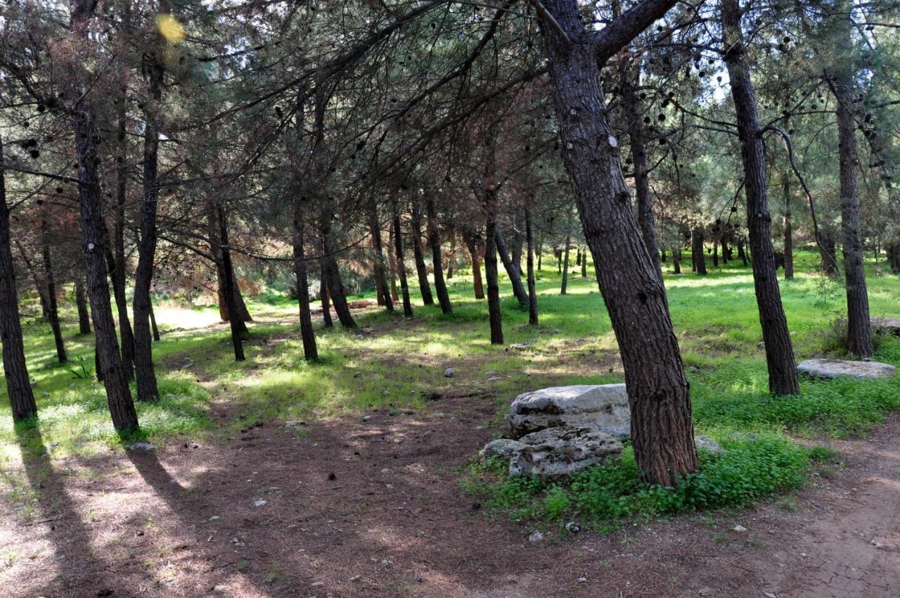 Aletraki -Off-Grid Retreat Above Heraklion, Peaceful Views أرتشانيس المظهر الخارجي الصورة