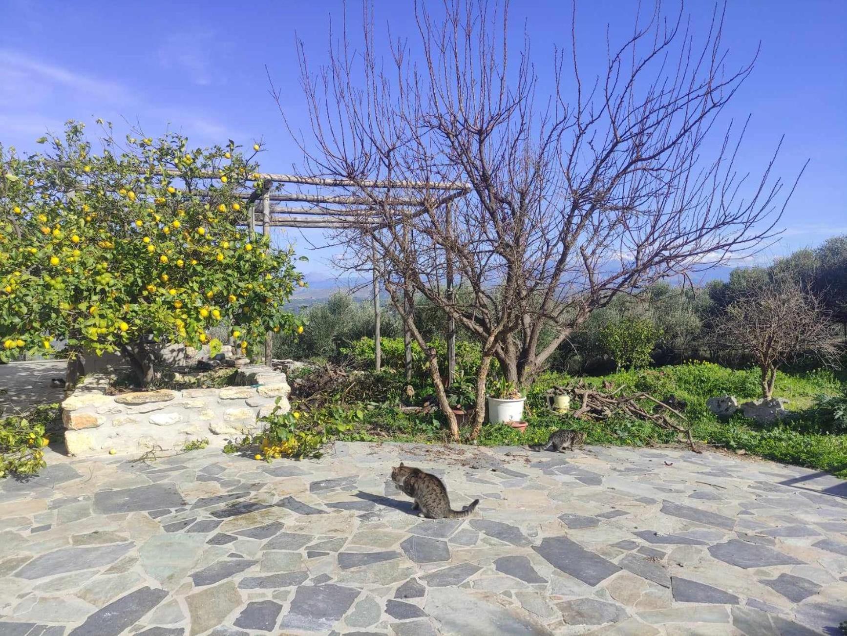 Aletraki -Off-Grid Retreat Above Heraklion, Peaceful Views أرتشانيس المظهر الخارجي الصورة